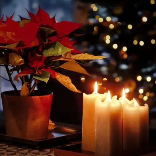 Stearinljus och en röd julstjärna