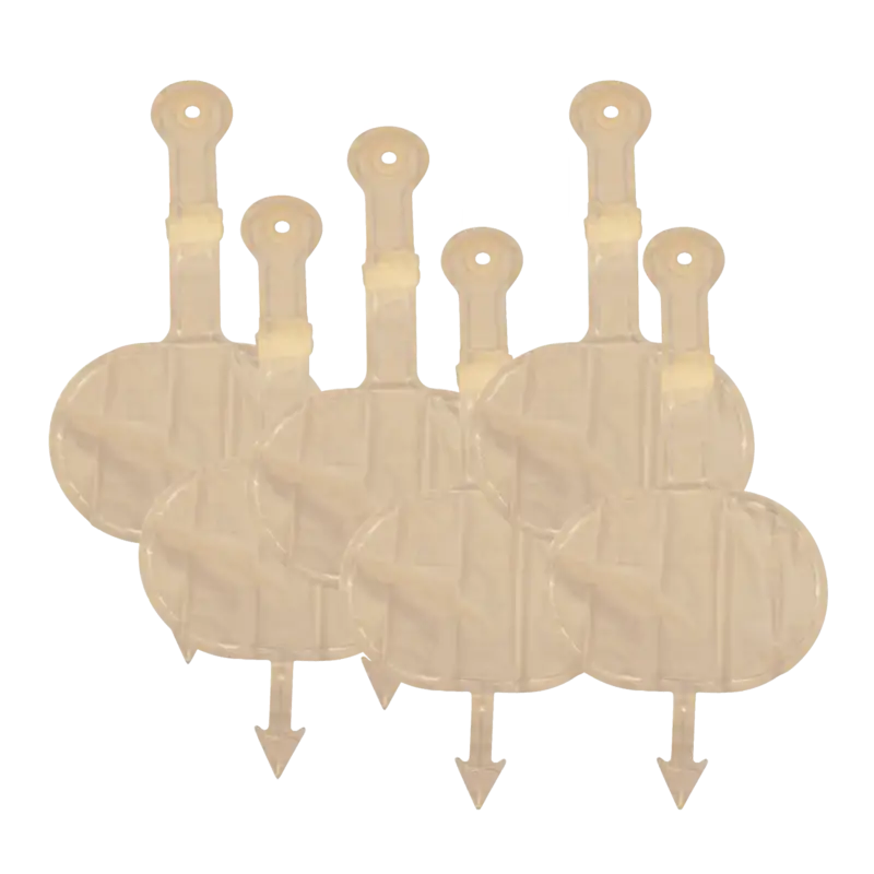 Lungor Mini Anne, 6-pack
